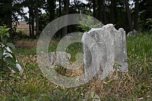 Abandoned cemetery from the 1800s