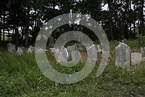 Abandoned cemetery from the 1800s