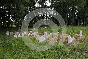 Abandoned cemetery from the 1800s