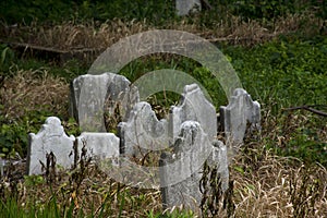 Abandoned cemetery from the 1800s