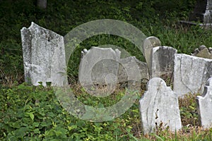 Abandoned cemetery from the 1800s