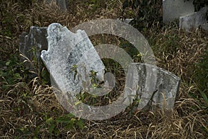 Abandoned cemetery from the 1800s