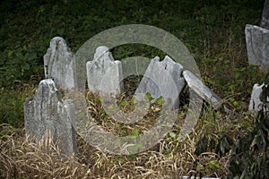 Abandoned cemetery from the 1800s