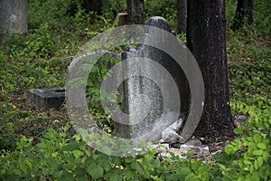 Abandoned cemetery from the 1800s