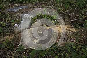 Abandoned cemetery from the 1800s