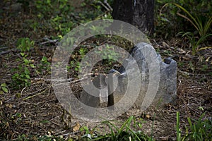 Abandoned cemetery from the 1800s