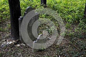 Abandoned cemetery from the 1800s