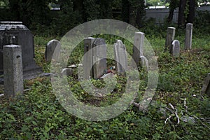 Abandoned cemetery from the 1800s