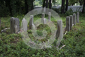 Abandoned cemetery from the 1800s