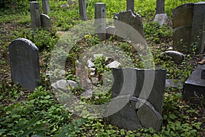 Abandoned cemetery from the 1800s