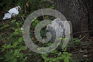 Abandoned cemetery from the 1800s