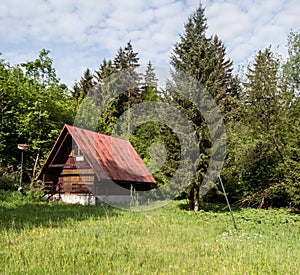 Abandoned chalet on meadow with trees around