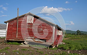 Abandoned Chicken Coop