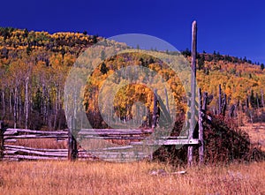 Abandoned Corral