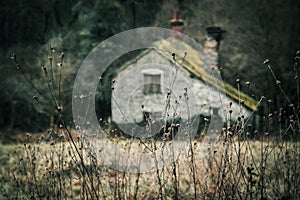 Abandoned cottage in a muted winter landscape