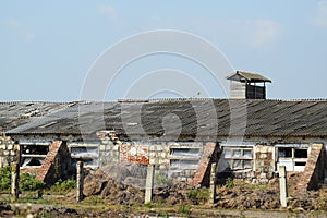 Abandoned cow farm