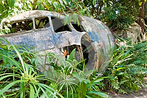 Abandoned crashed plane in Kuranda, Queensland photo