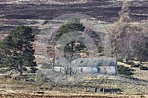 Abandoned Croft of Easter Crannich on Dava Moor in Scotland.