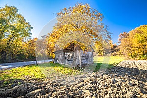 Abandoned decaying wooden cottage in agricultural landscape autumn view