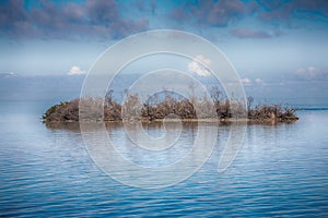 Abandoned, Desolate Island