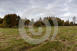 Abandoned, dilapidated house on the edge of the field. Mowing.