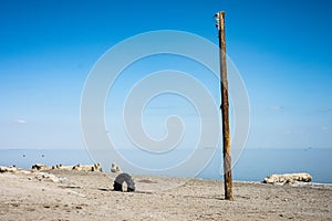 Abandoned dirty shoreline of the Salton Sea in Bombay Beach California on a sunny day