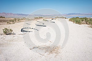 Abandoned dirty shoreline of the Salton Sea in Bombay Beach California on a sunny day