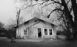 Abandoned empty old house with dead trees