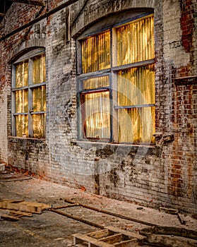 Abandoned Factory in Allentown - Window Wall 2