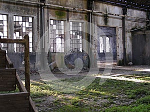 Abandoned factory ruins