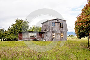Abandoned Farm Buildings