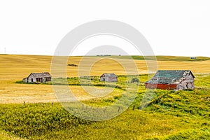 Abandoned farm buildings Wheatland County photo