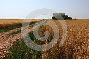 Abandoned farm house