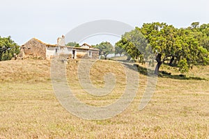 Abandoned farm house and cork tree in Santiago do Cacem