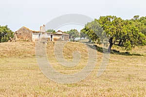 Abandoned farm house and cork tree in Santiago do Cacem photo