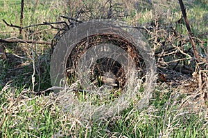 Abandoned farm supplies