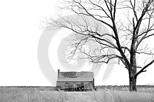 Abandoned Farmhouse