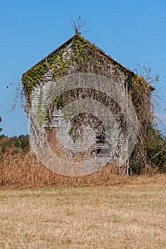 Abandoned Farmhouse Overgrown With Vines Sits In Georgia Field