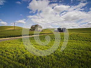 Abandoned Farmhouse in a Wheat Field.