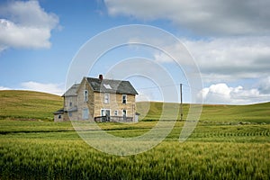 Abandoned Farmhouse in a Wheat Field.