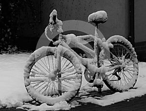 Abandoned and forgotten snow bike