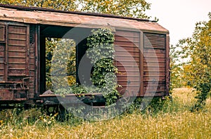 Abandoned freight wagon captured by vegetation