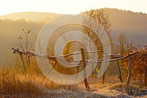 Abandoned Garden In Autumn Morning