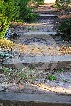 Abandoned garden path