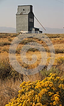 Grain Elevator and Rabbitbrush in Idaho photo