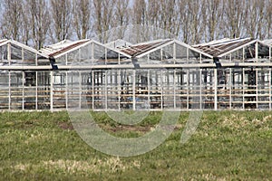 Abandoned greenhouse with broken windows and trusses