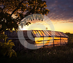 An abandoned greenhouse in the old garden with golden sunrise light shining through
