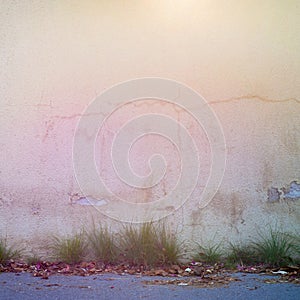 Abandoned grunge cracked stucco wall, grass and dry leaves on the ground.