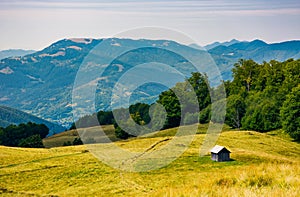 Abandoned herdsman shed on hillside near forest