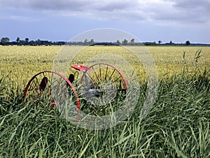 Abandoned historical agricultural machinery